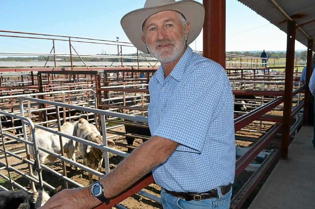 OPPORTUNISTIC: Stanthorpe’s Trevor Wren takes advantage of a buyers’ market. OPPORTUNISTIC: Stanthorpe’s Trevor Wren takes advantage of a buyers’ market.